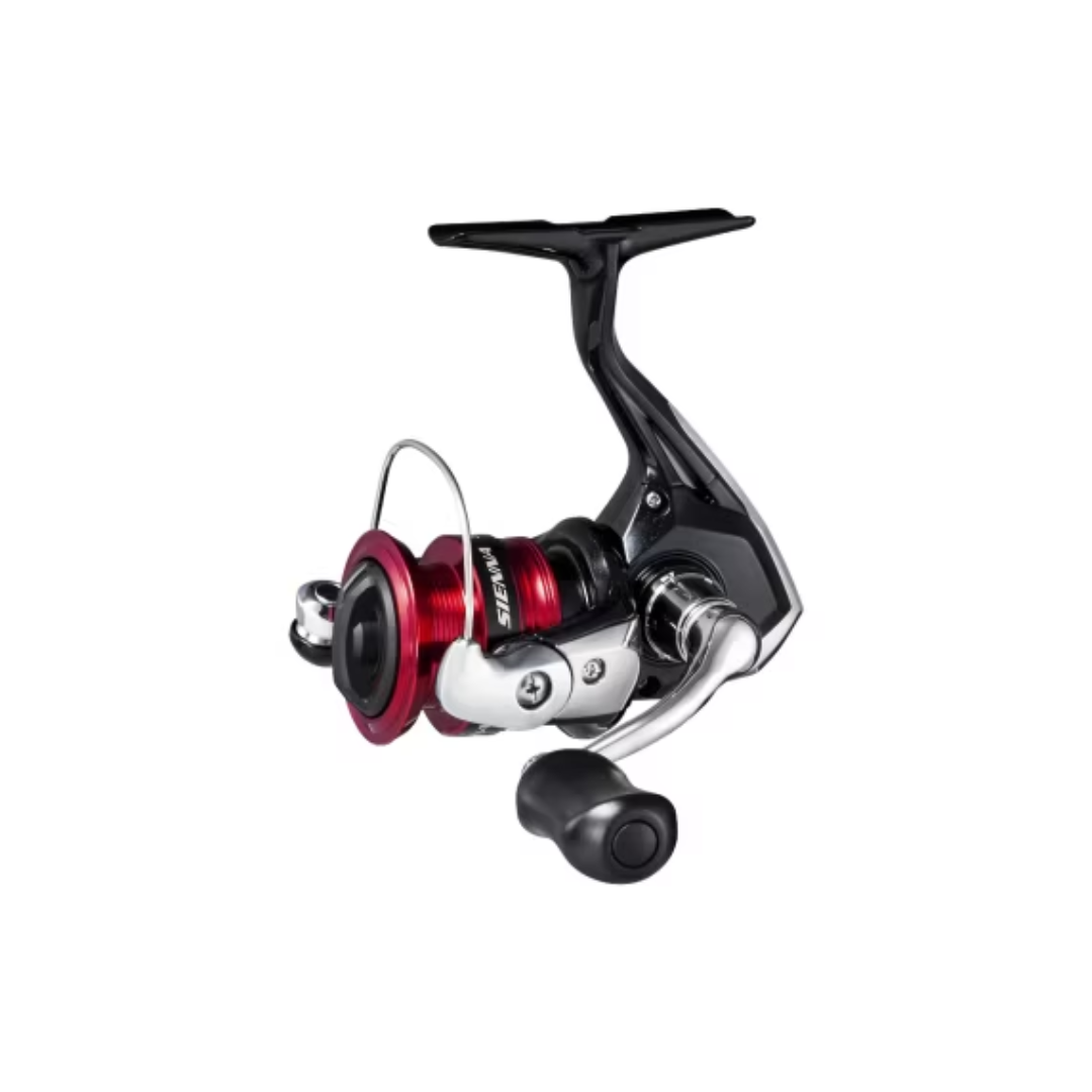 Shimano Sienna FG  Barracuda Shop