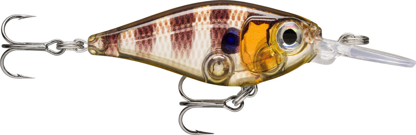 RAPALA X-Light Shad 4cm 4g Live Perch