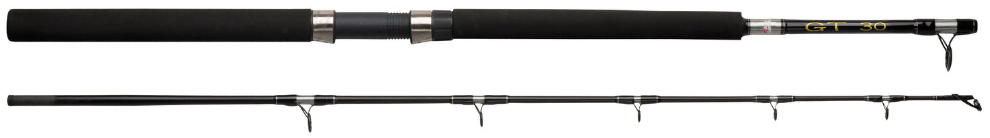 Abu Garcia ROD GT 702 15LBS TROLLING