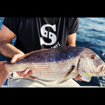 Fishing charter - Sparus Boats in Split