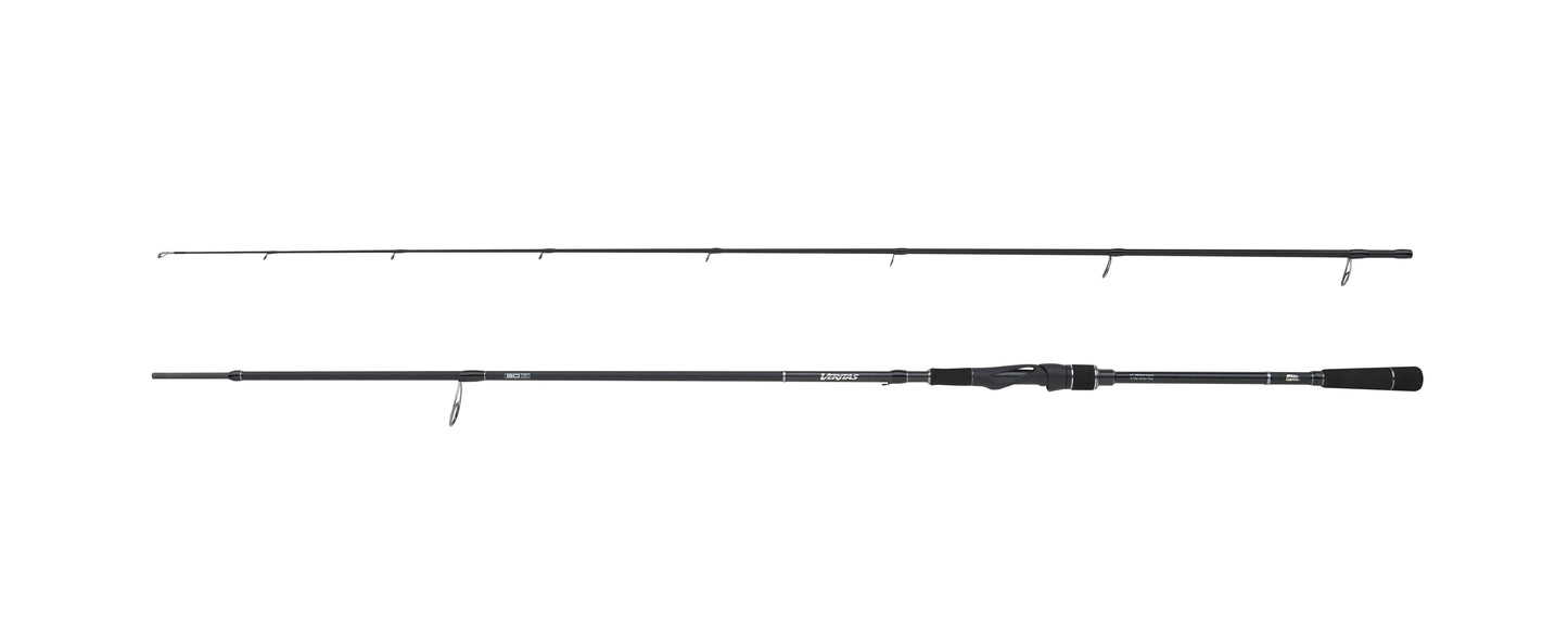 Abu Garcia VERITAS 902H 20-60G