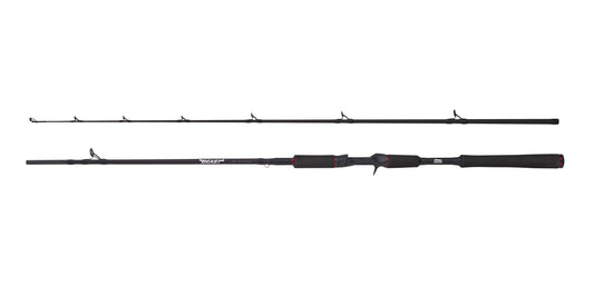 Abu Garcia BEAST Pike 662HP 40-90g Jerkbait Casting