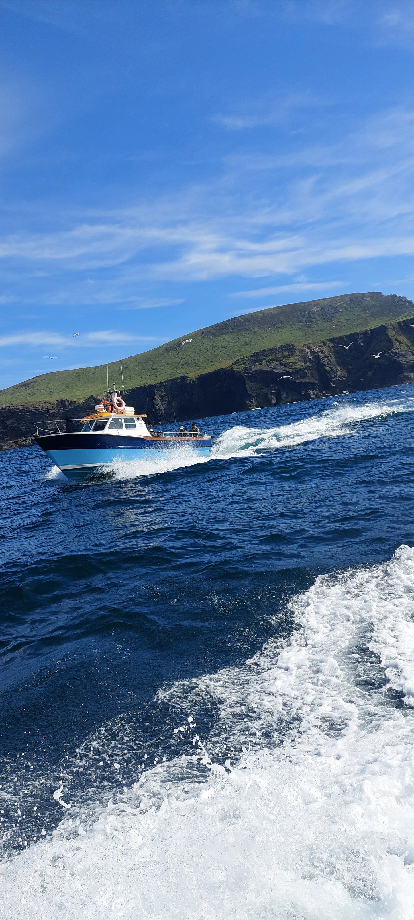 Fishing charter - Fishing Trips Ireland with Daniel