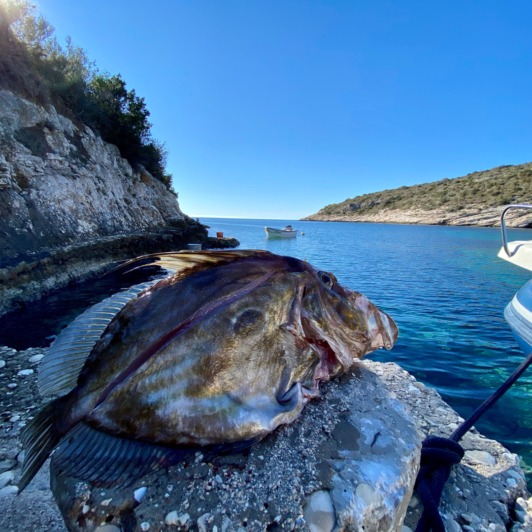 Fishing charter - Sparus Boats in Split