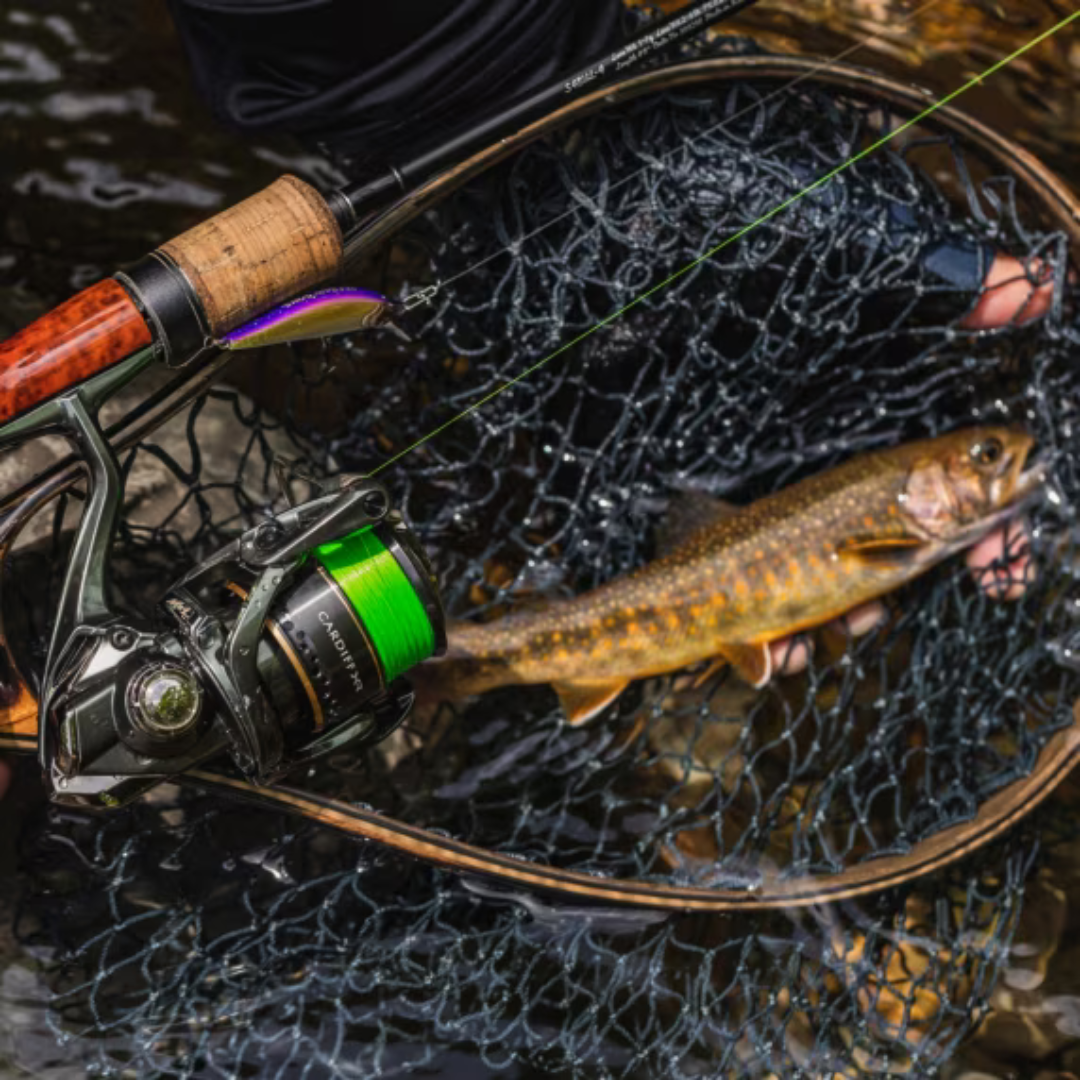 Shimano Cardiff XR – Barracuda Shop Shimano Cardiff XR – Barracuda Shop