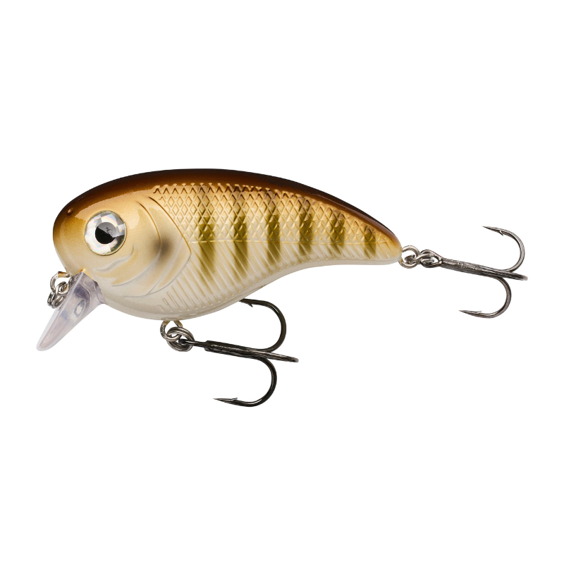 Berkley Pulse 36 g