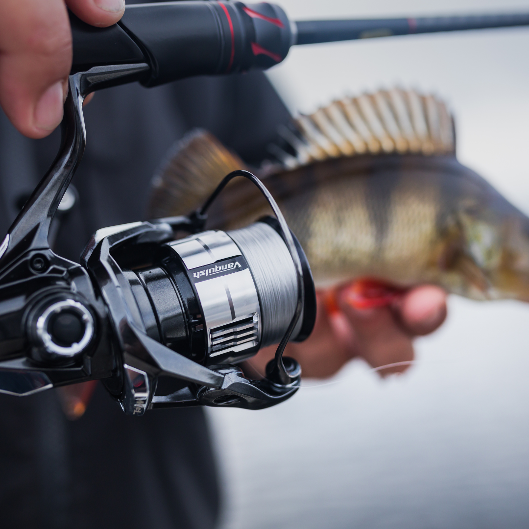 Shimano Vanquish FC 2500S HG – Barracuda Shop Shimano Vanquish FC 2500S HG – Barracuda Shop