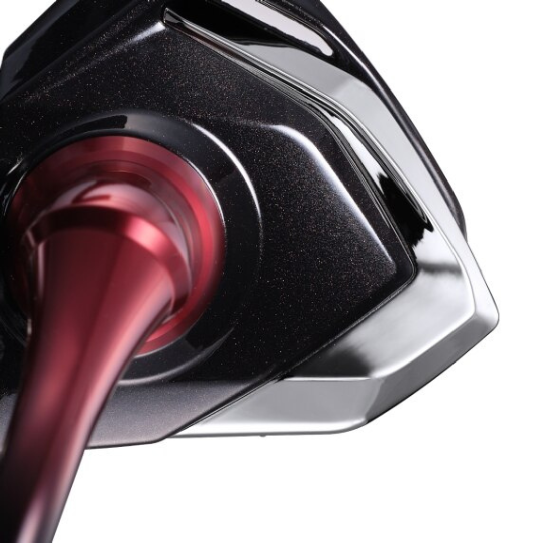 Shimano Sephia BB C3000S – Barracuda Shop