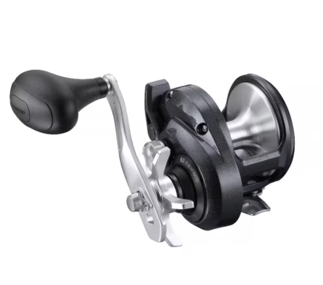 Shimano Torium 16lb A HG (R)