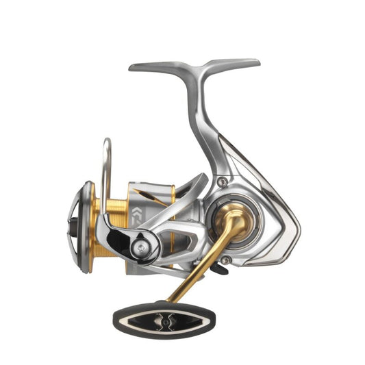 DAIWA 21 Freams LT 1000D