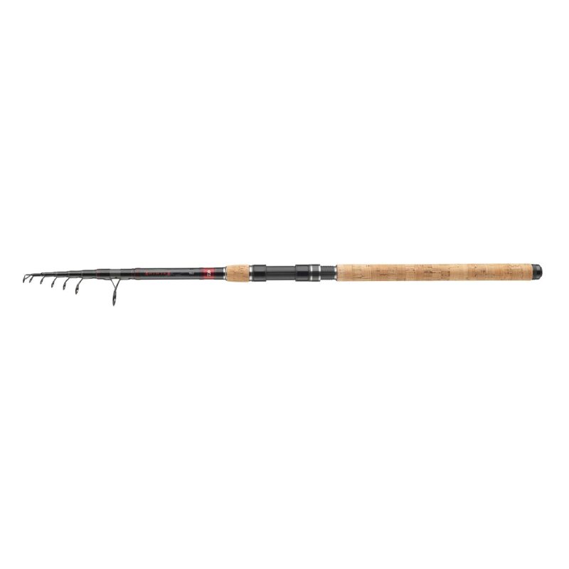 DAIWA Ninja X Tele 3,3m 50-100g