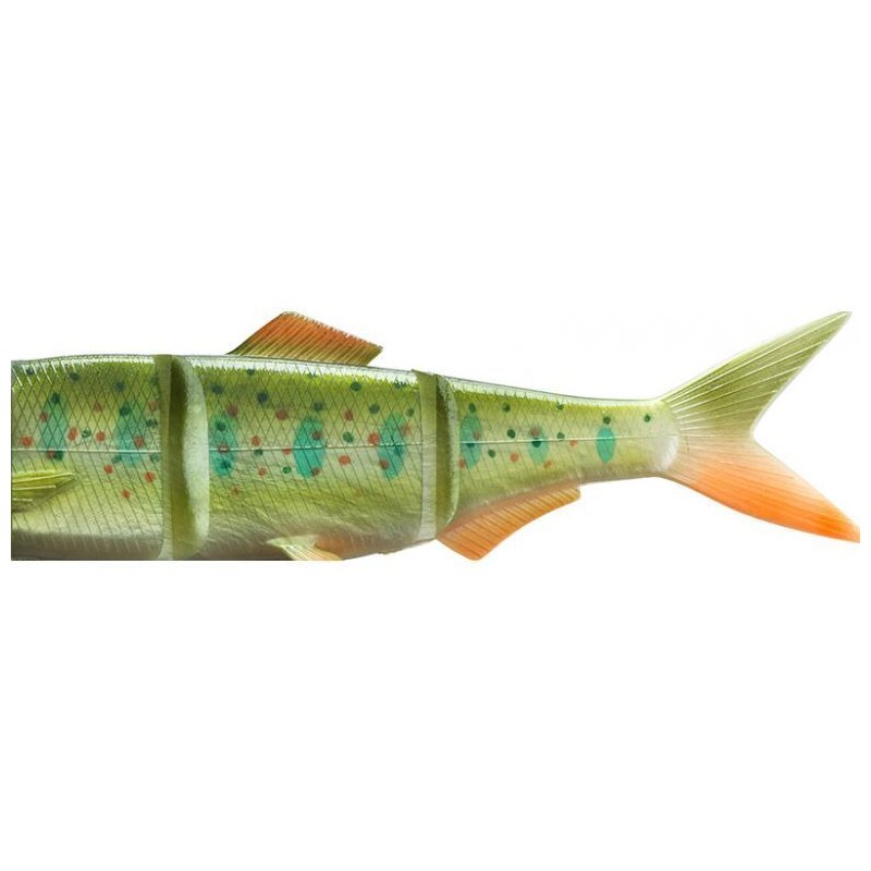 DAIWA Prorex Hybrid Swimbait SF Spare Tail 18cm Rainbow Trout with lifelike green and orange design, featuring detailed scales and fins for fishing lures.