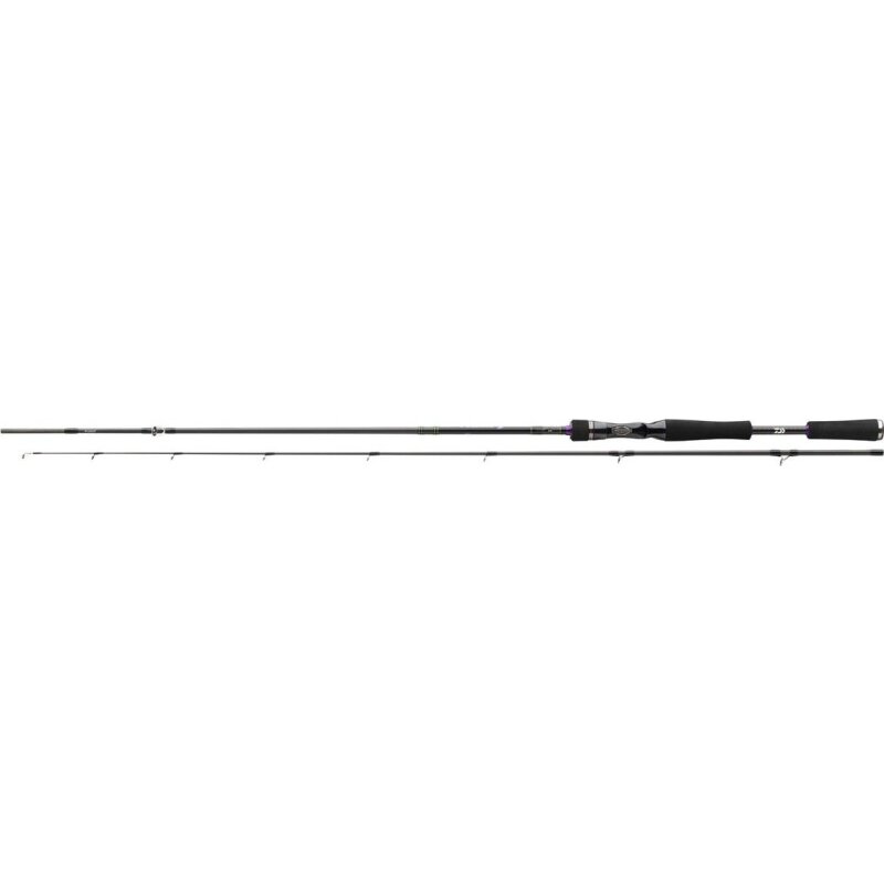 DAIWA Prorex XR Baitcast 1,95m 40-120g