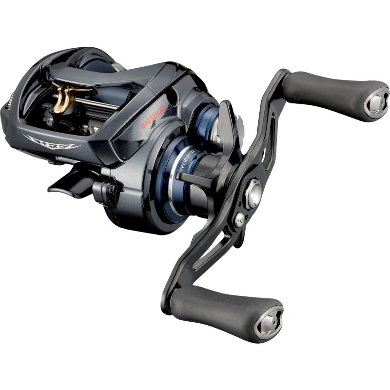 DAIWA Steez A TW HLC