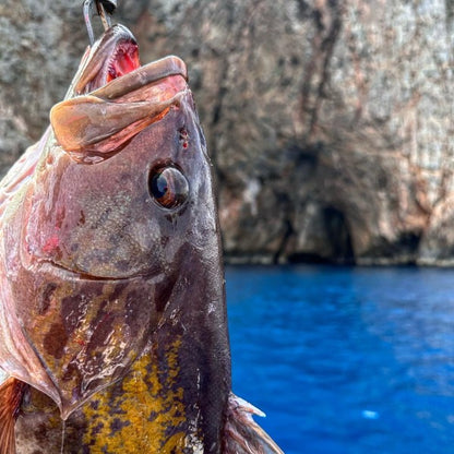 Fishing charter - GoFishing Charters Crete, Greece