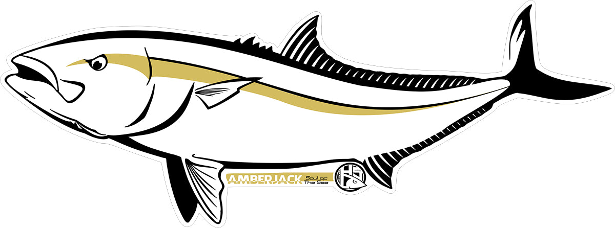 Sticker Amberjack cm 60x24