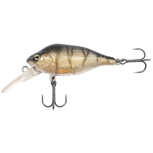 FOX RAGE Funk Bug DR 5cm 7g UV Striped Shiner fishing lure with realistic fish design, dual treble hooks, and diving lip for freshwater angling.