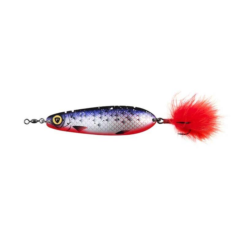 FOX RAGE Ultra UV Spoon 8cm 18g UV Roach fishing lure with a realistic fish scale pattern, vibrant red feather tail, and UV-enhanced finish.