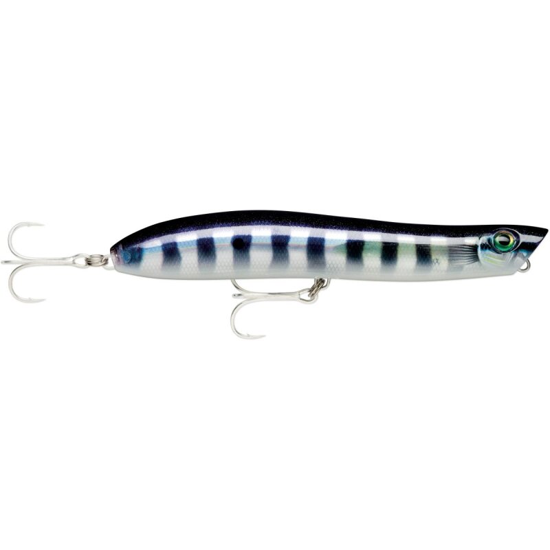 RAPALA Maxrap Walk'N Roll 10cm 13g Baby Cuda lure featuring a sleek black and silver striped design with dual treble hooks for fishing.