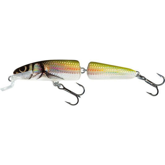 SALMO Fanatic Floating 7cm 5g Holo Bleak fishing lure with a segmented body, realistic holographic design, and dual treble hooks.