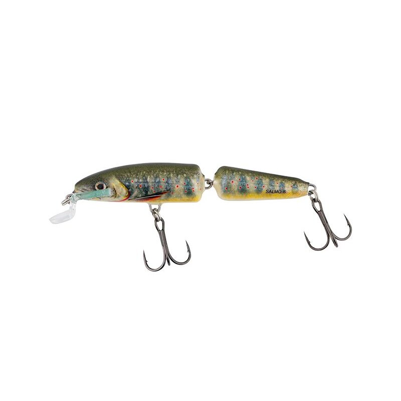 SALMO Fanatic Floating 7cm 5g Lake Charr fishing lure with realistic lake charr design, jointed body, and dual treble hooks.