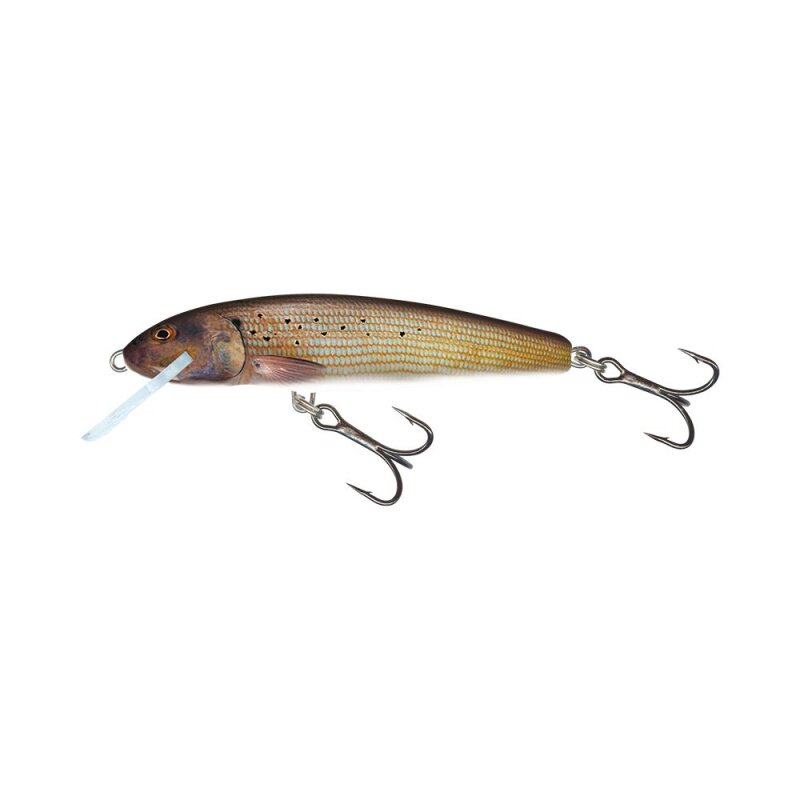 SALMO Minnow Floating 6cm 4g Grayling lure with realistic fish design, dual treble hooks, and durable construction for fishing.