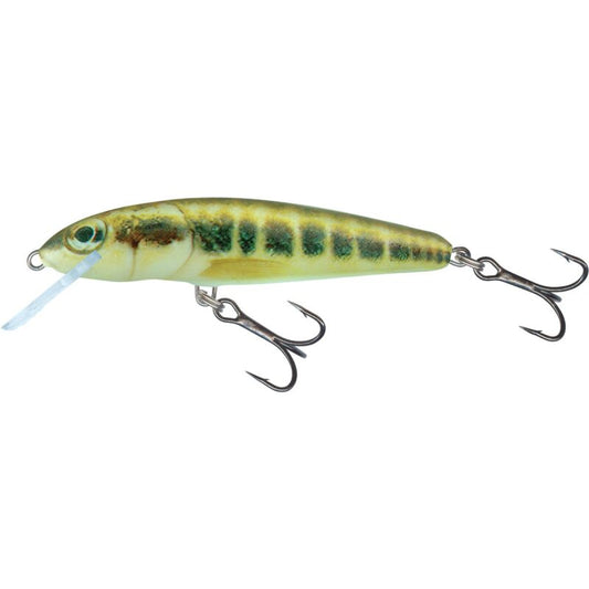 SALMO Minnow Floating 6cm 4g Minnow lure with lifelike fish design, dual treble hooks, and a green-yellow pattern for fishing.