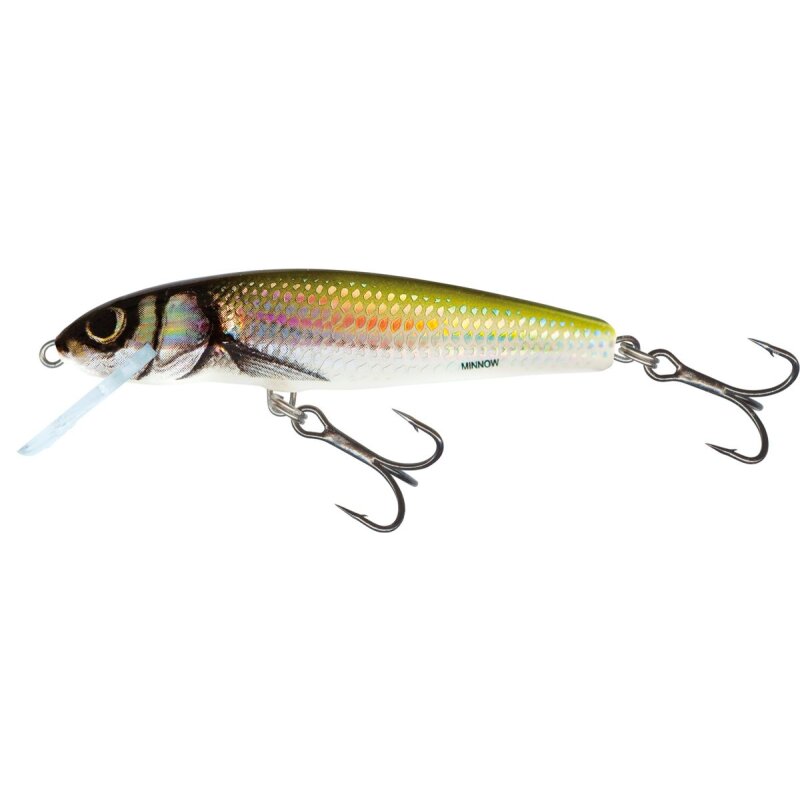 SALMO Minnow Sinking 6cm 6g Holo Bleak fishing lure with realistic fish design, dual treble hooks, and holographic finish for freshwater fishing.